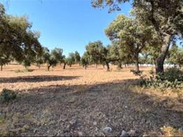 Casa Rural en venta en Valle De La Serena, Badajoz