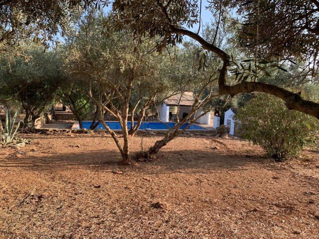Casa Rural en venta en Llanos de Olivenza, Extremadura