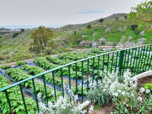 Casa Rural en venta en La Gloria, La Axarquía