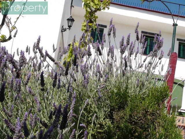 Casa Rural en venta en el Puig, Baix Penedès