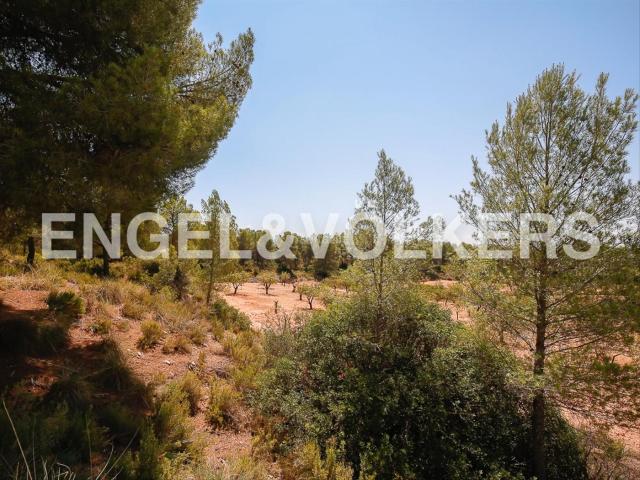 Casa Rural en venta en Requena, El Arrabal