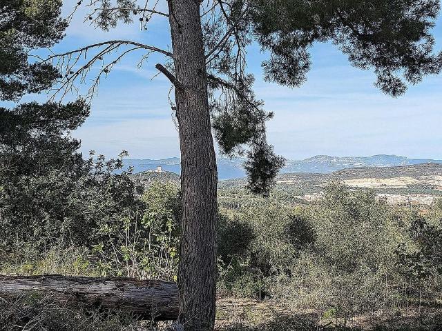 Casa Rural en venta en Montsià, Catalunya