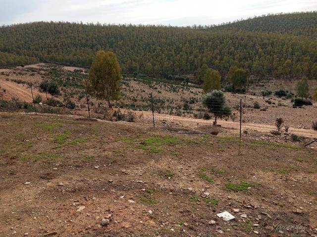 Casa Rural en venta en Villanueva De La Serena, Extremadura