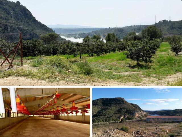 Casa Rural en venta en Xerta