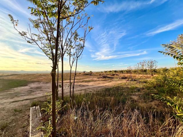 Casa Rural en venta en Altiplano, Murcia