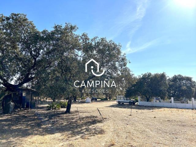 Casa Rural en venta en Zalamea La Real