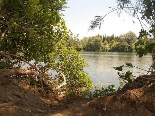 Casa en alquiler en Baix Ebre, Catalunya
