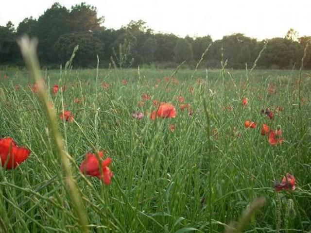 Casa en alquiler en Gúdar-Javalambre, Aragón