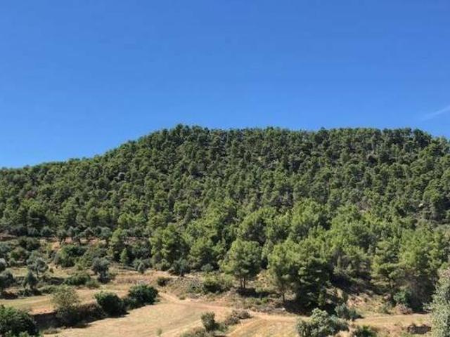 Casa en alquiler en Valderrobres, Teruel