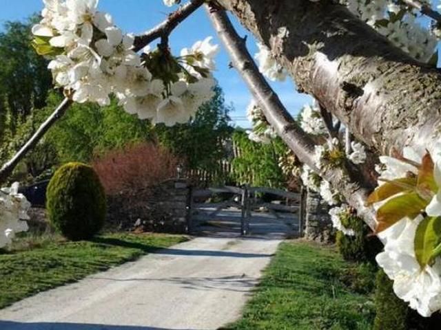 Casa en alquiler en els Ports, Valencia