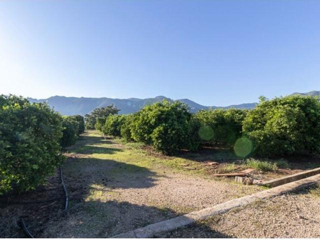 Casa en venta en la Safor, Valencia
