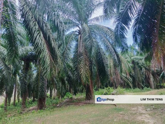 Shop for sale in Malaka