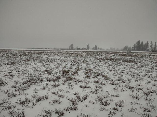 Land for sale in Deer Park, Washington