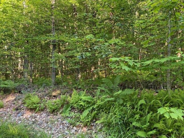 Land for sale in New Hampshire
