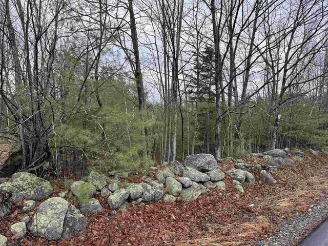 Land for sale in Milton, Strafford County
