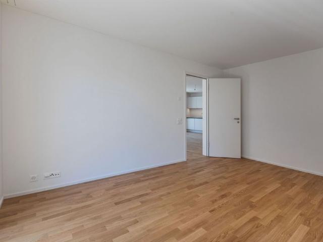 Apartment mieten in Massagno, Tessin