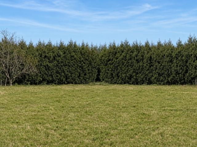 Terrain vente à Bourg-en-Bresse, Massieux