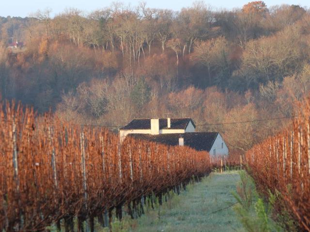 Maison vente à Massugas, Gironde