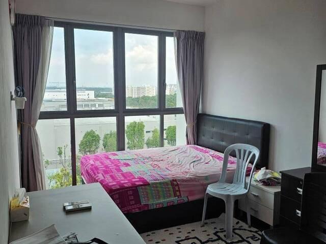 Room for rent