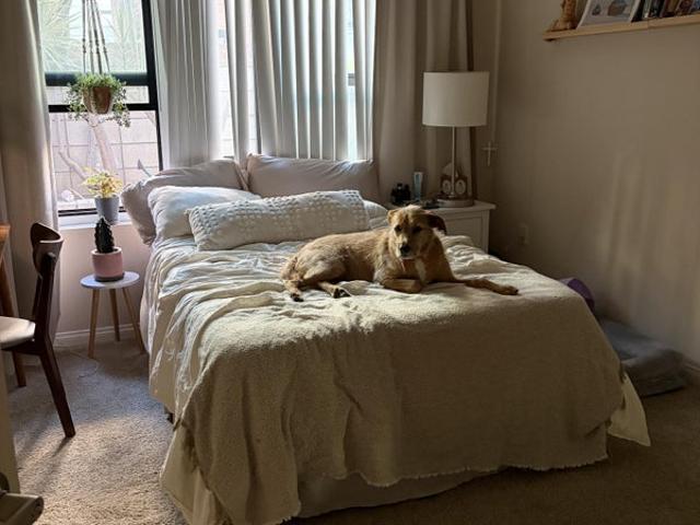 Room for rent in Canoga Park, California