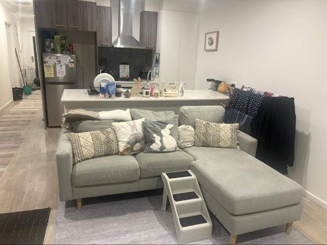 Room for rent