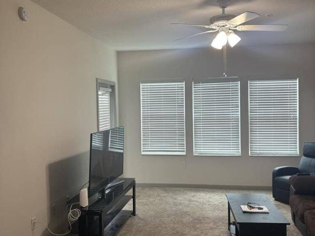 Room for rent in Saint Petersburg, Florida