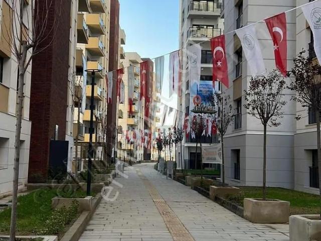 Gaziosmanpaşa, İstanbul içerisinde satılık mülk