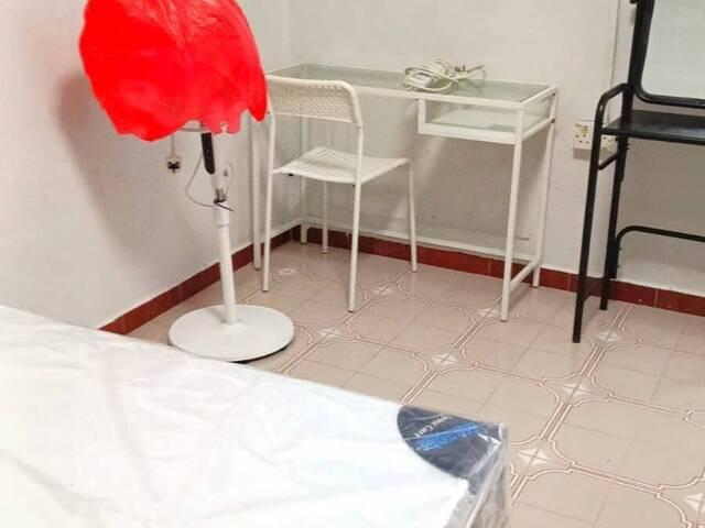 Room for rent