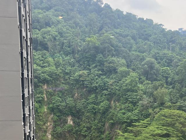 Room for rent in Petaling, Damansara Damai