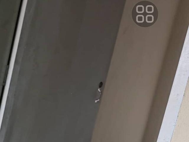 Room for rent in Country Heights Damansara, Kuala Lumpur