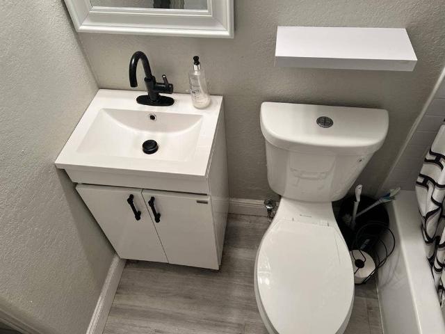 Room for rent in Saint Petersburg, Florida
