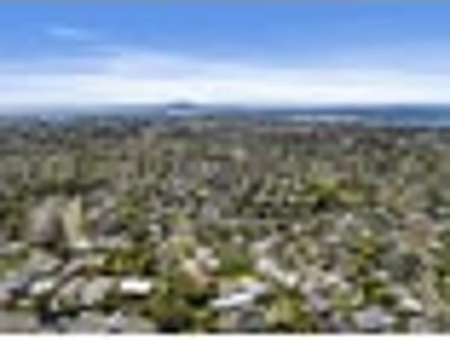 Land for sale in Wairau Valley