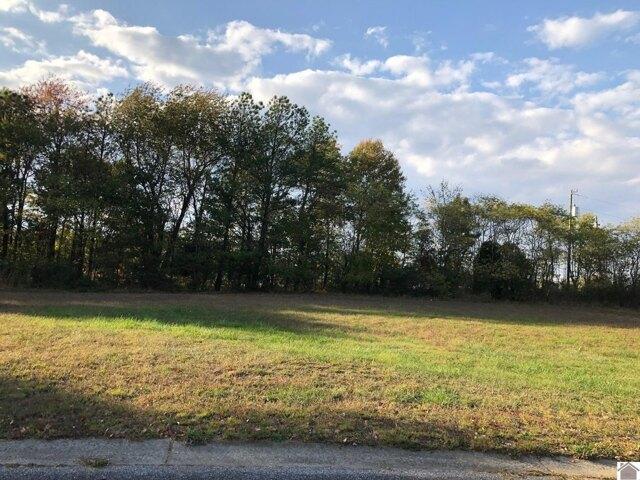 Land for sale in Mayfield, Kentucky