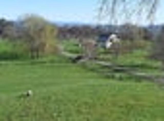 House for rent in Tauweru, Masterton District