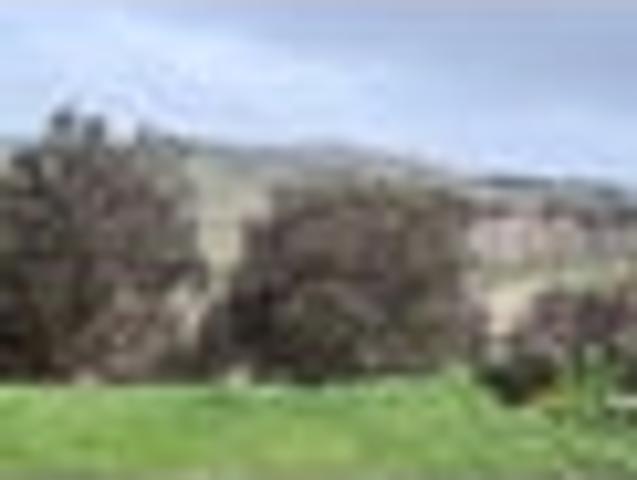 Apartment for rent in Opaki, Wellington