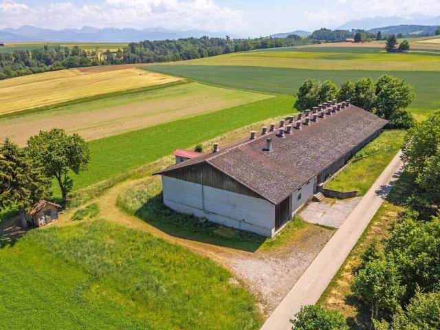 Immobilie kaufen in Ropraz, Waadt