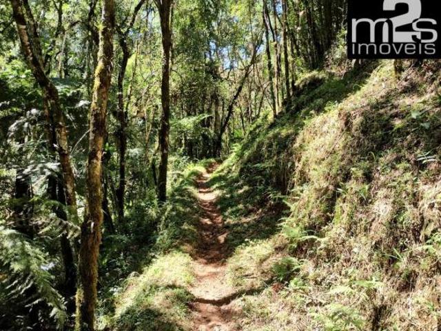Sítio e chácara venda em Região Imediata de Guaratinguetá, Região Metropolitana do Vale do Paraíba e Litoral Norte