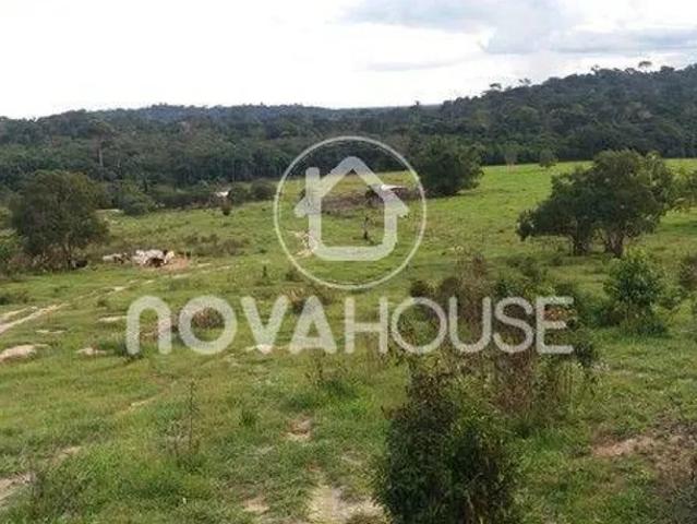 Fazenda venda em Região Geográfica Imediata de Alta Floresta, Paranaíta