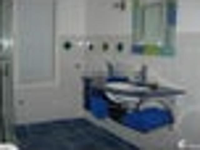 House for rent in Kawau Island