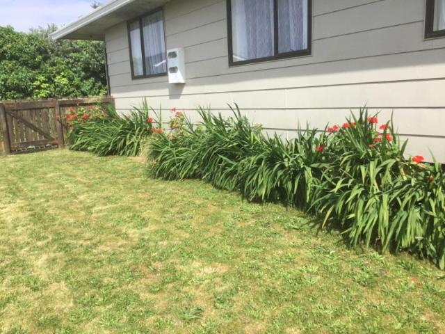 House for rent in Matamata, Matamata Piako District