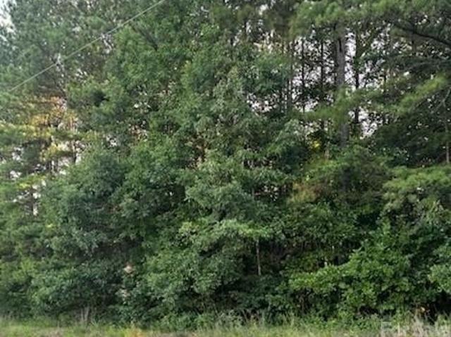 Land for sale in Catawba, North Carolina