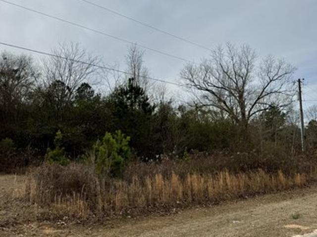 Land for sale in Sandersville, Georgia