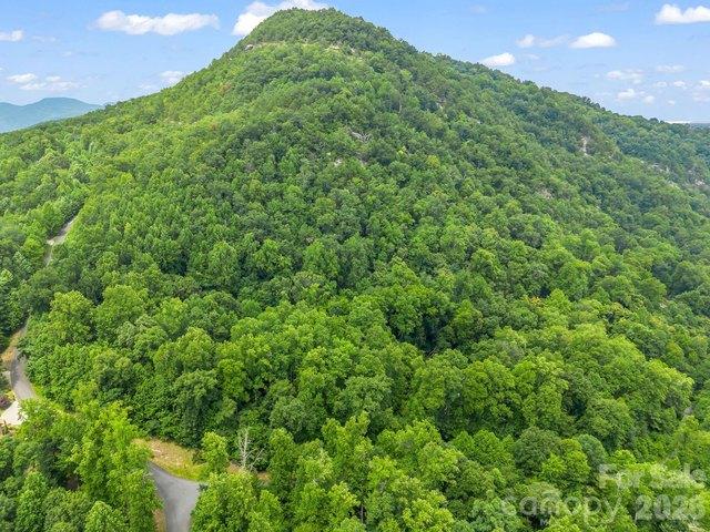 Land for sale in Rutherford, North Carolina