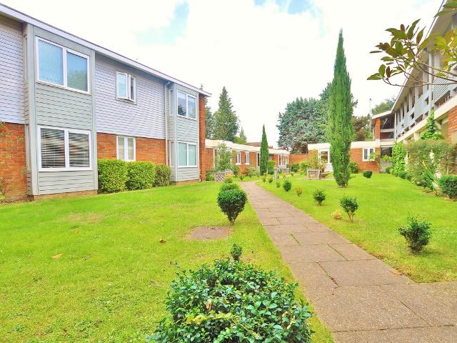 Apartment for rent in Charlotteville, Westborough