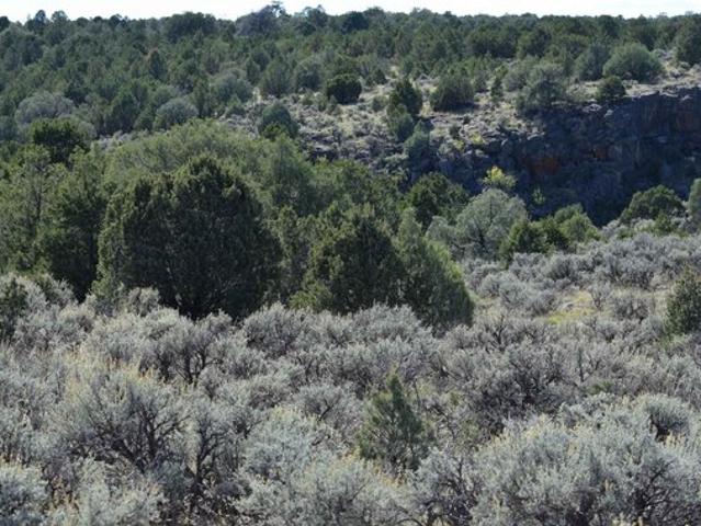 Land for sale in Nemaha County, Kansas