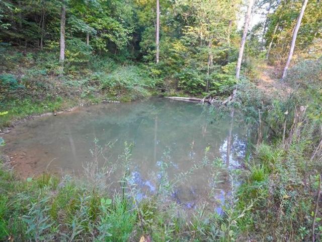 Land for sale in Seymour, Missouri
