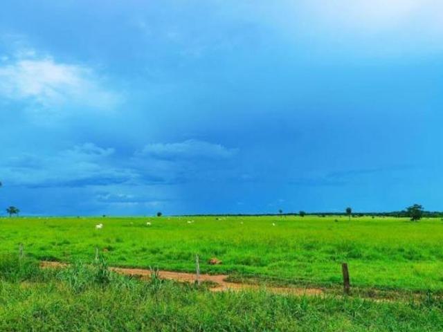 Sítio e chácara venda em Região Geográfica Imediata de Confresa - Vila Rica, São Felix do Araguaia