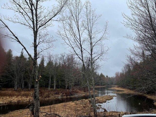 Land for sale in Maine