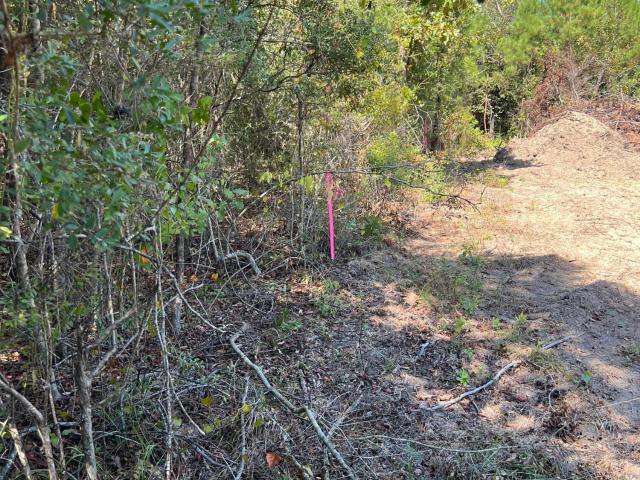 Land for sale in Tylertown, Pike County