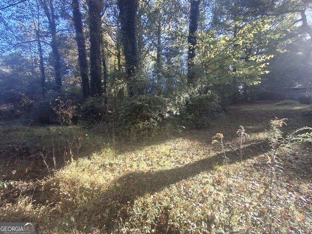 Land for sale in Temple, Carroll County